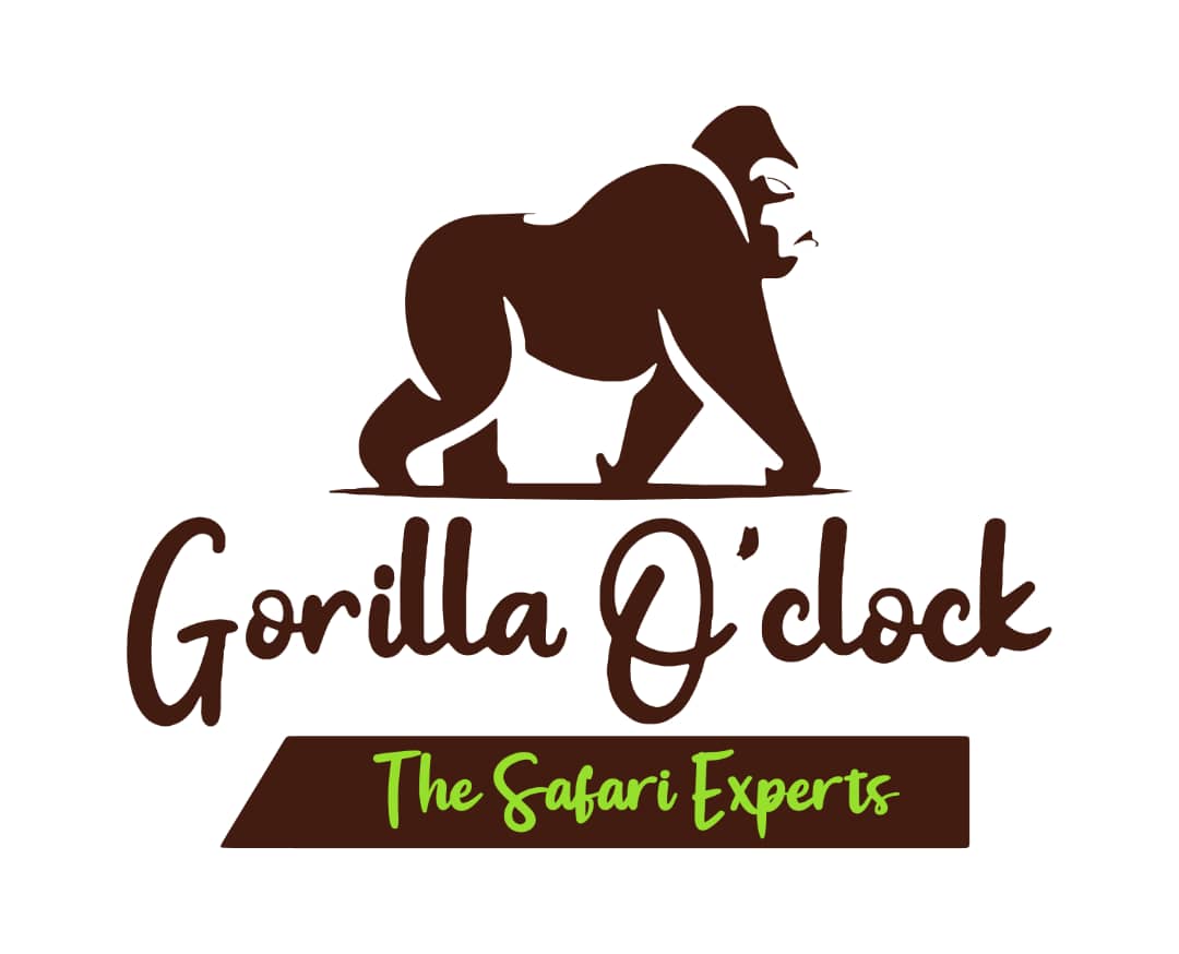 Gorilla O'Clock