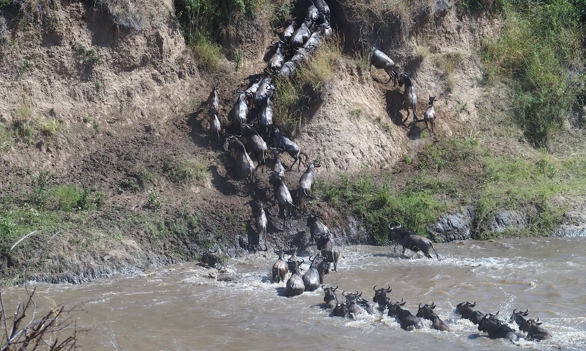 7 Days Tazania Wildlife Safari copy